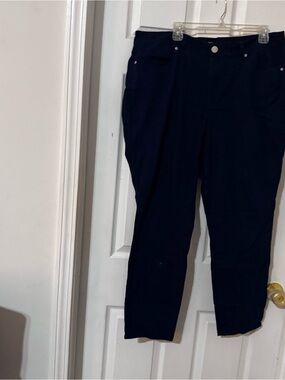 crown & ivy Navy Skinny Pants - Size 18W